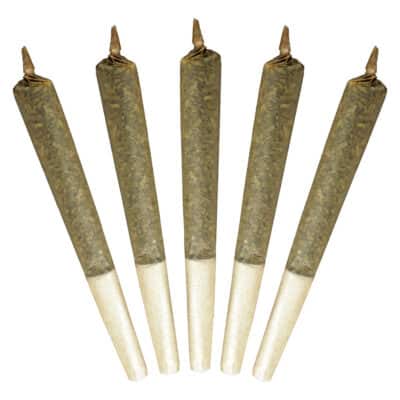 Buddy Blooms - Big Buddy Sativa Pre-Roll