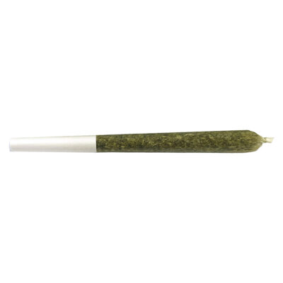 VOLO - Orange Turpentine Pre-Roll