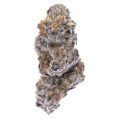 Northern Canna - Hot Rod