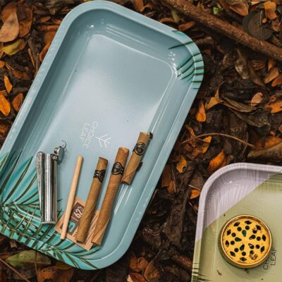 Choice Leaf Rolling Tray - Medium - Mint Palm