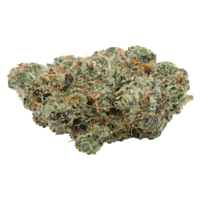 Carmel - Blue Nerd-z